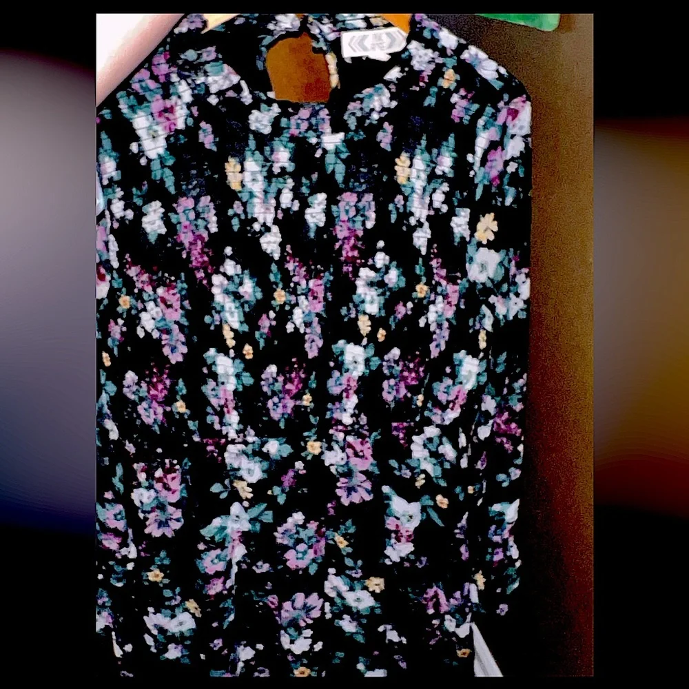 Pink Rose Blue & Pink Floral Dress in NWOT XL! - Picture 3 of 7